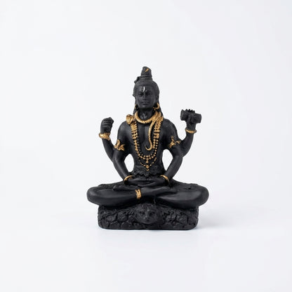 Shiv ji Sitting