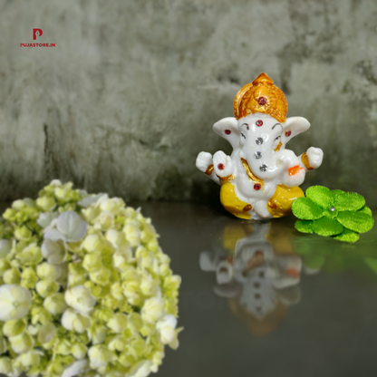 Little Ganesh Ji