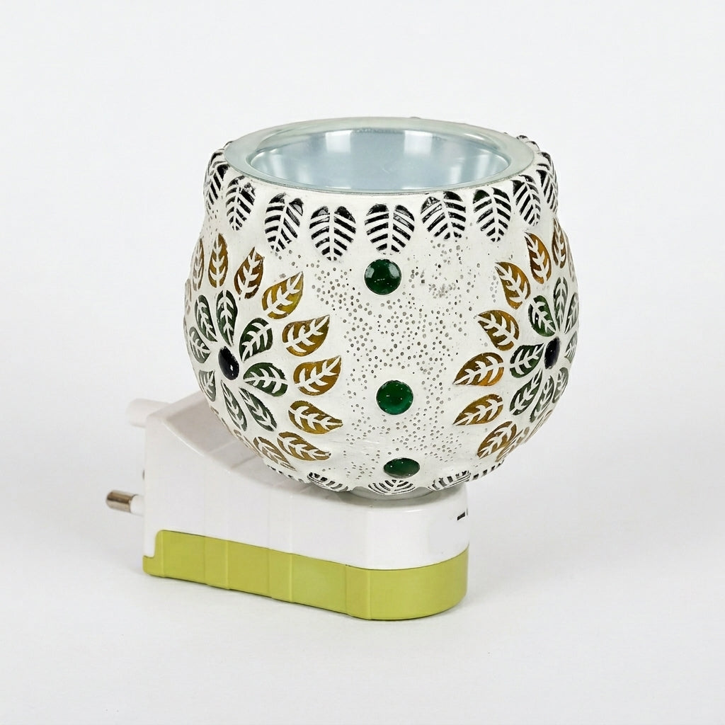 Electric Kapoor Dani