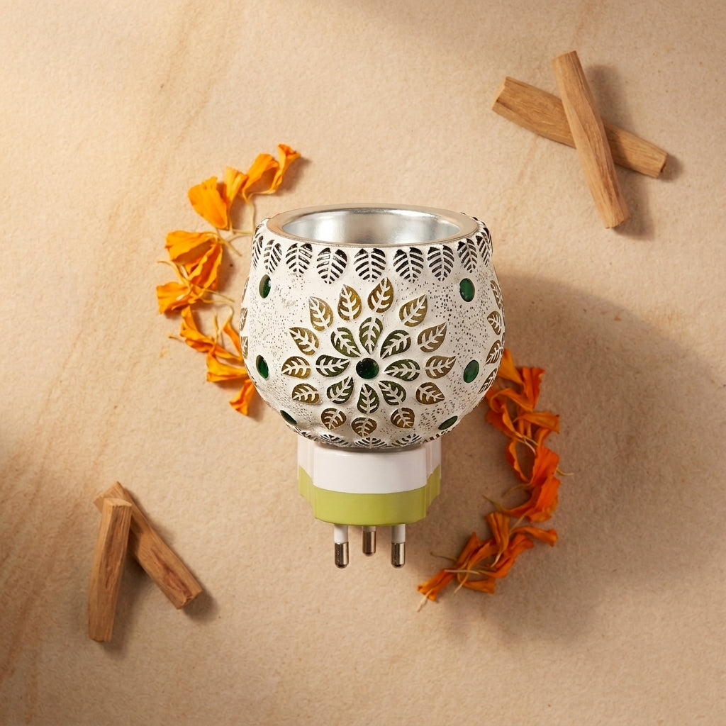 Electric Kapoor Dani