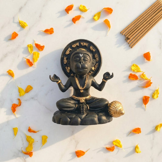 Little Yogi Hanuman Ji