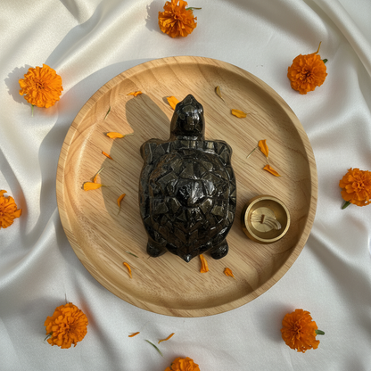 Pyrite Tortoise - Kachua