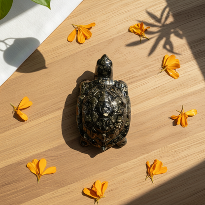 Pyrite Tortoise - Kachua